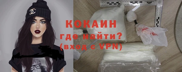 прущие грибы Слюдянка