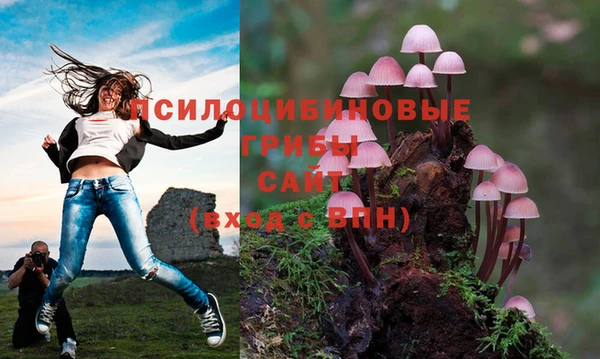 ешки Снежногорск