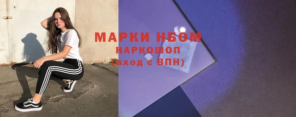 ешки Снежногорск