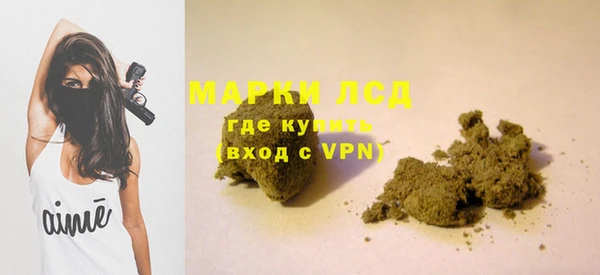 прущие грибы Слюдянка