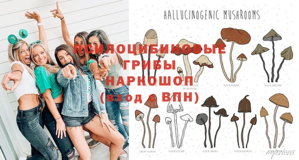 ешки Снежногорск