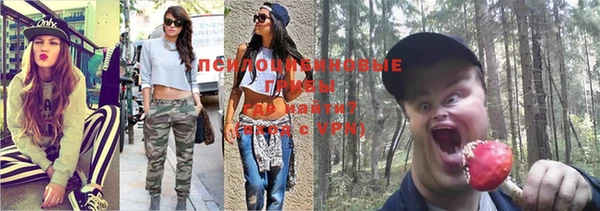 прущие грибы Слюдянка