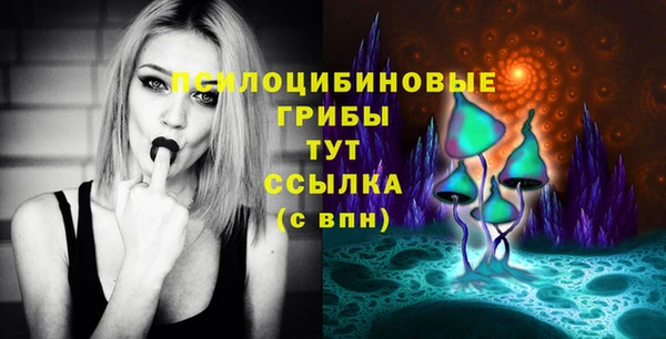 Альфа ПВП Сосновый Бор