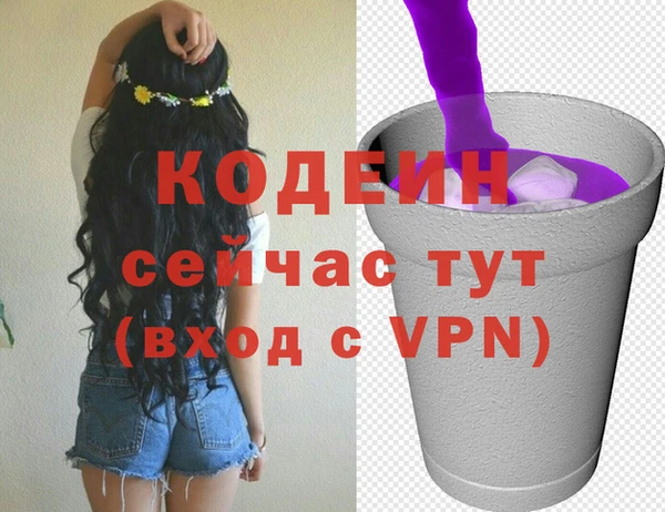 прущие грибы Слюдянка