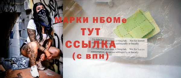 ешки Снежногорск