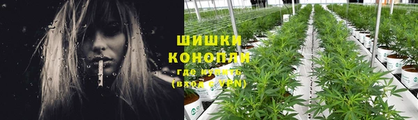 эйфоретик Сосновоборск