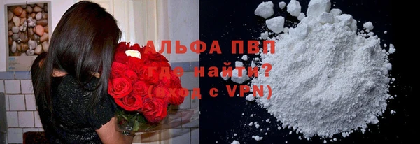 прущие грибы Слюдянка