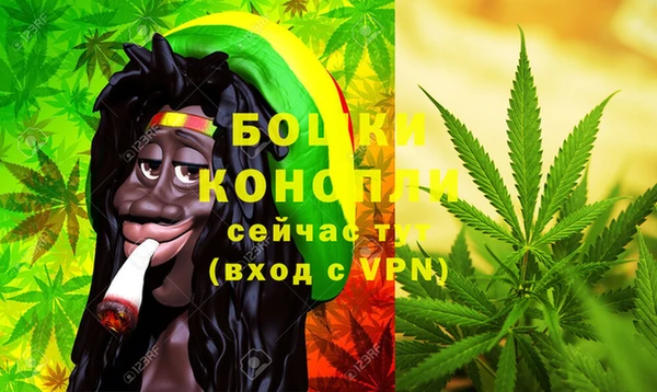прущие грибы Слюдянка