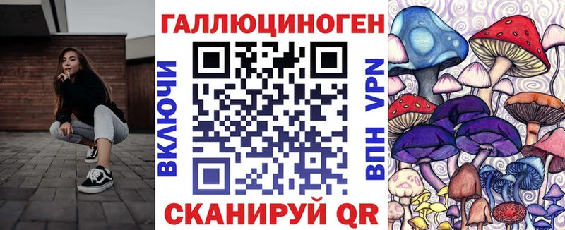 Купить где  Гусев  Псилоцибиновые грибы мухоморы 